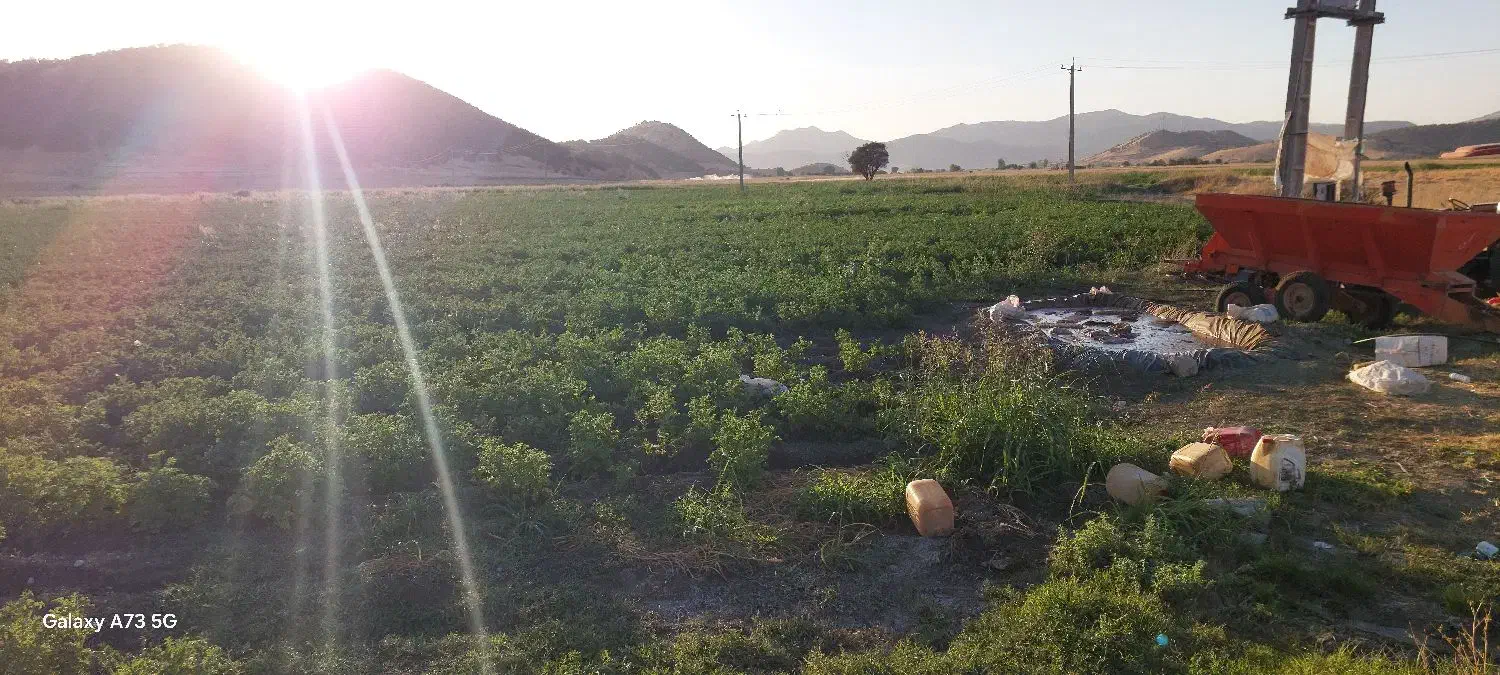 زمین جهت اجاره|اجارهٔ مغازه و غرفه|خاو و میرآباد, |دیوار