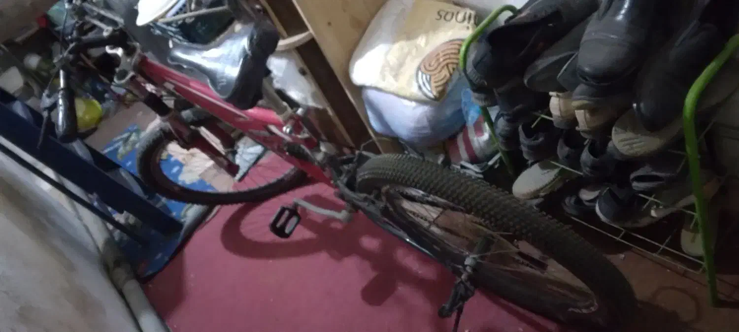 دوچرخه 24|دوچرخه، اسکیت، اسکوتر|بوشهر, |دیوار