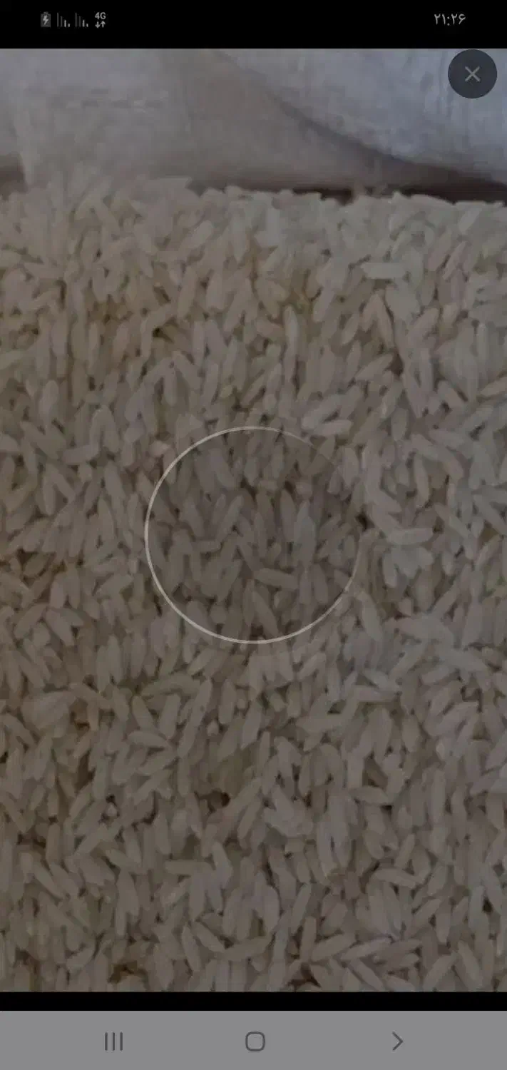 فروش برنج خوش عطر|خوردنی و آشامیدنی|میانه, |دیوار