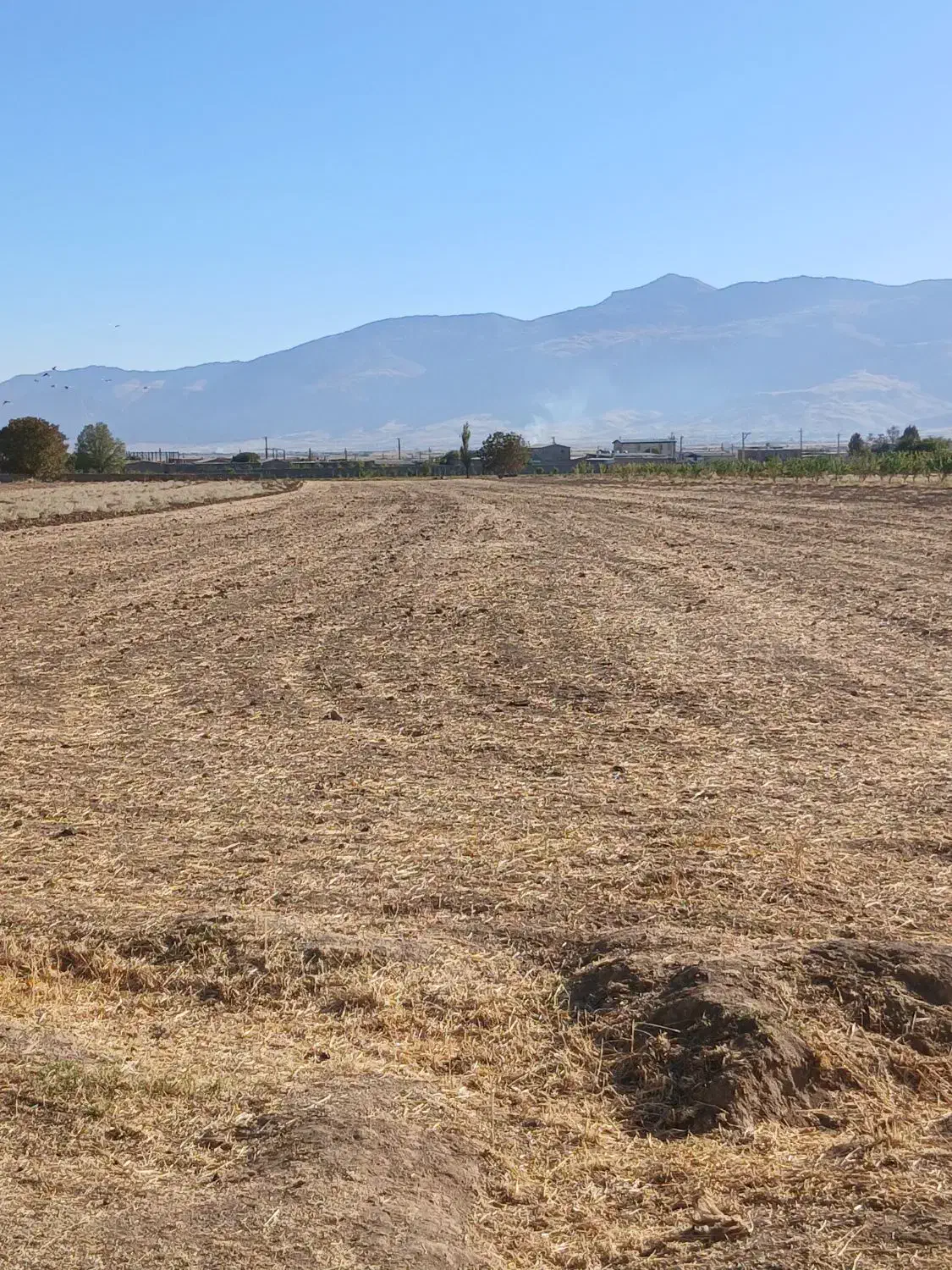 فروش زمین کشاورزی|فروش دفتر صنعتی، کشاورزی، تجاری|شیروان (لرستان), |دیوار