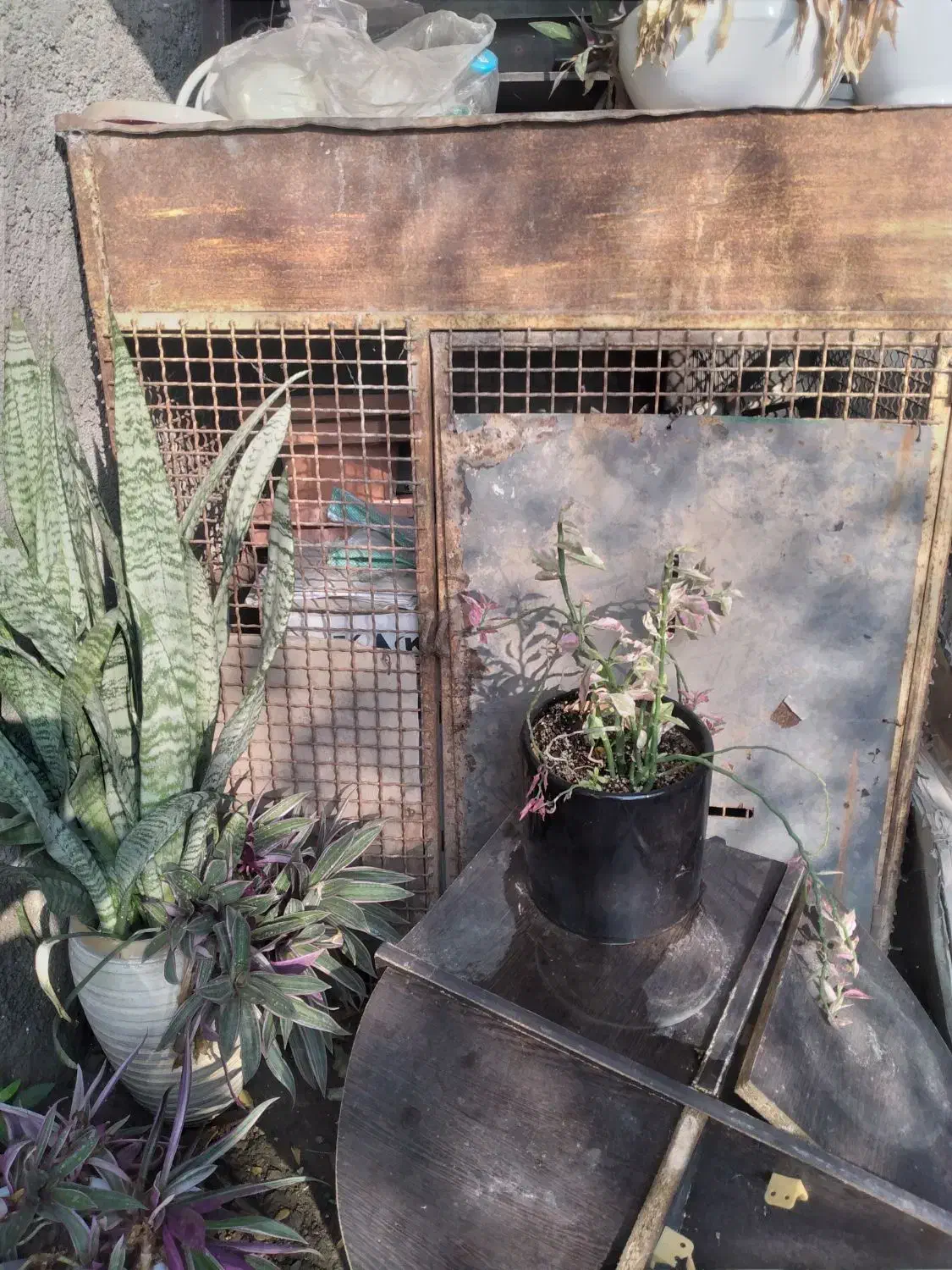 فنس آهنی مقاوم|مصالح و تجهیزات ساختمان|رودبار, |دیوار