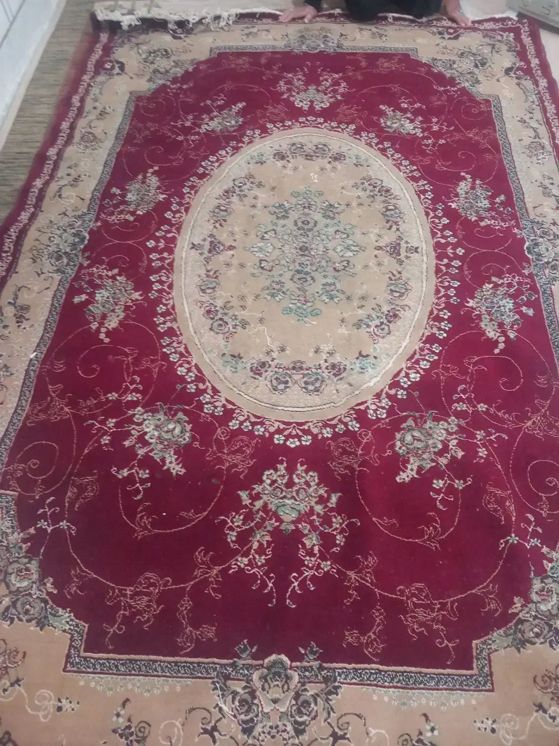 قالی ۶متری|فرش|رامهرمز, |دیوار