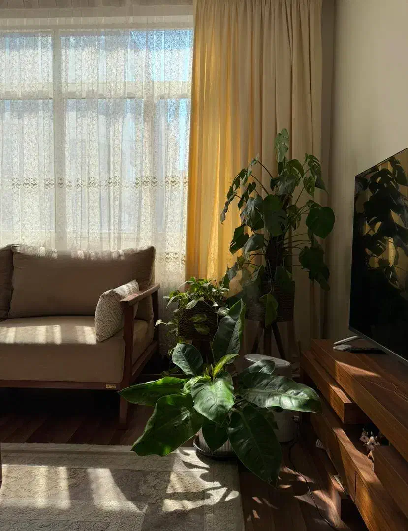 رهن آپارتمان|اجارهٔ آپارتمان|تهران, نارمک|دیوار