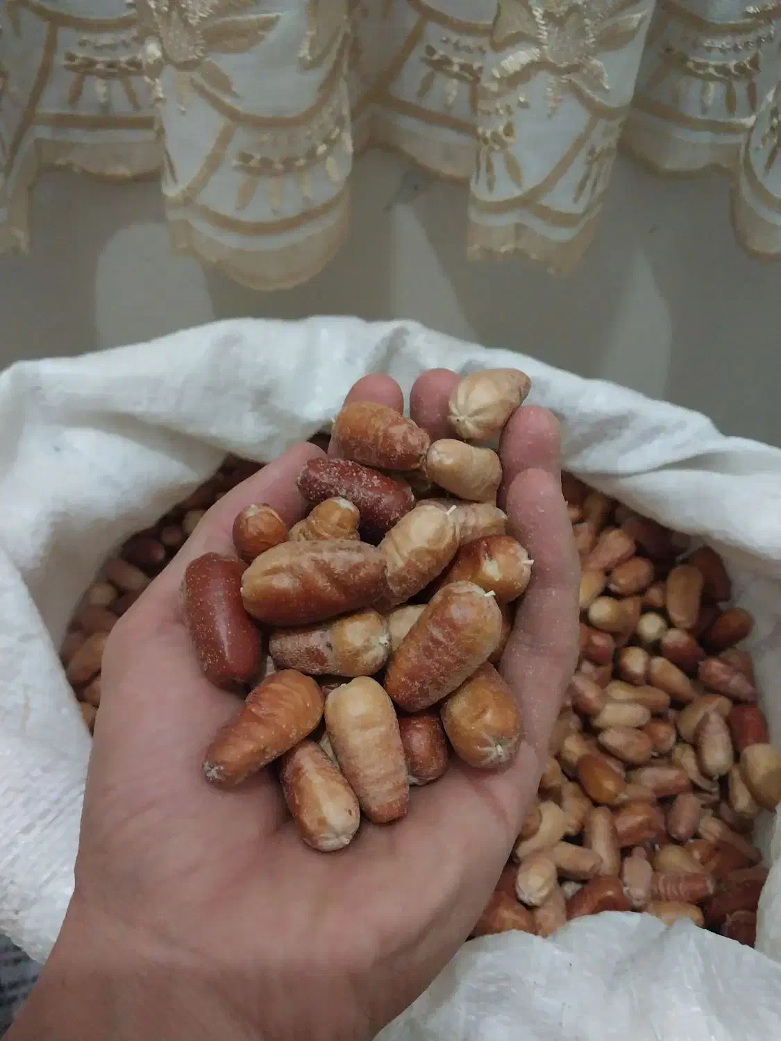 پودر سنجد|خوردنی و آشامیدنی|کرج, مصباح|دیوار