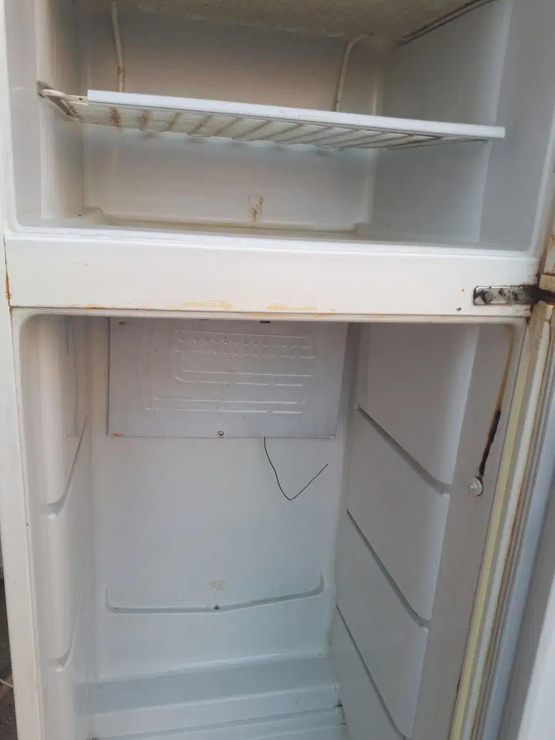 تعمیر و شارگاز انواع یخچال ویترینی و خانگی|خدمات پیشه و مهارت|آزادشهر, |دیوار