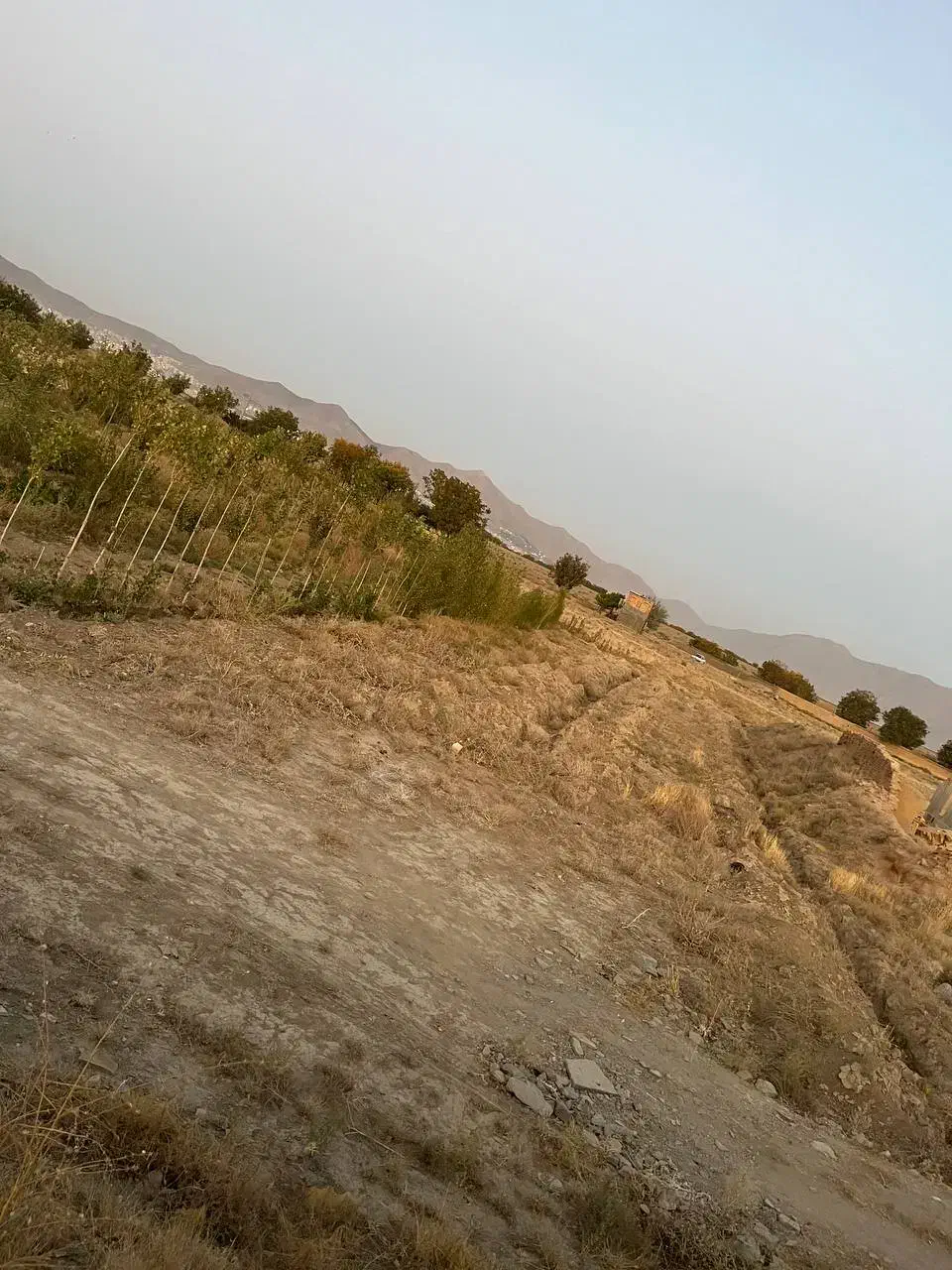 فروش باغ و زمین کشاورزی نزدیک شهر|فروش دفتر صنعتی، کشاورزی، تجاری|ملایر, |دیوار