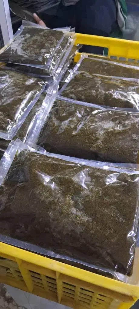 فروش عمده قورمه سبزی معطر گیلان پخش مستقیم|خوردنی و آشامیدنی|ری, شهرک نظامی|دیوار