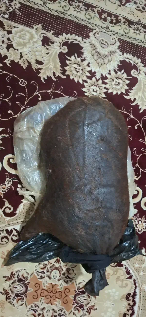 هیزه|حیوانات مزرعه|نورآباد, |دیوار