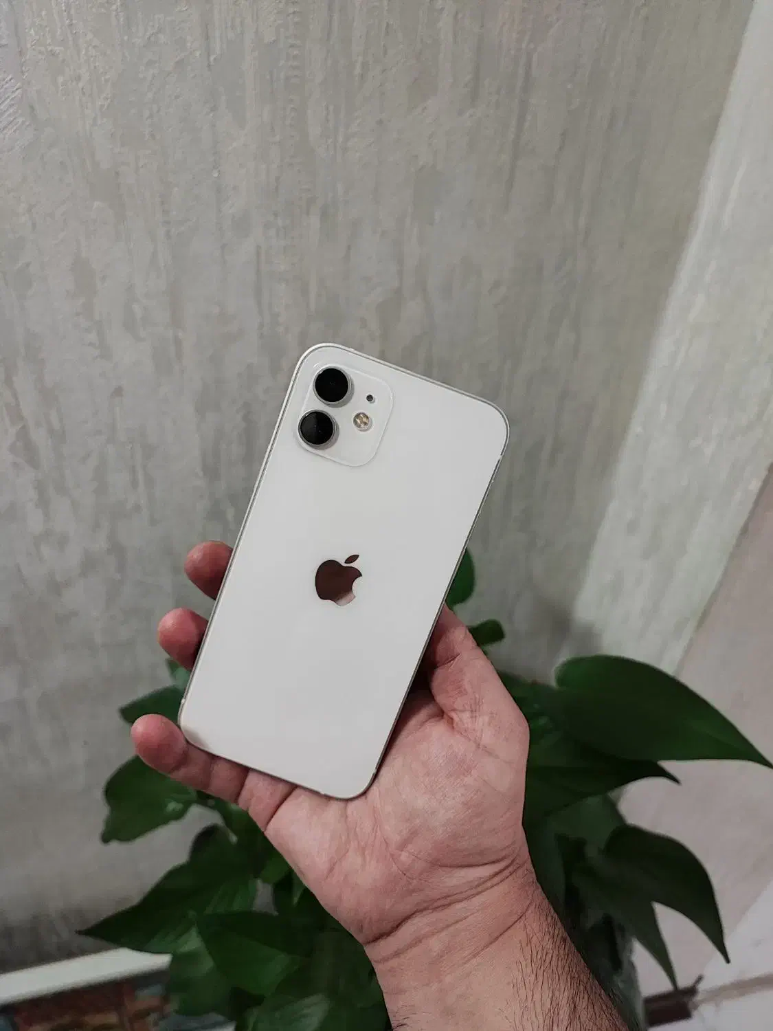 آیفون 12 نرمال نونو پلمپ بدون بازشدگی|موبایل|شیراز, زرهی|دیوار