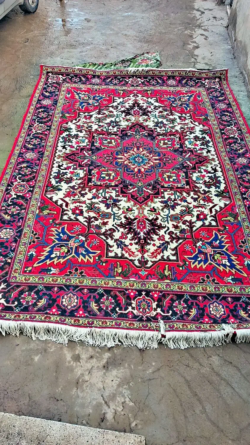 فرش۹متری|فرش|باسمنج, |دیوار