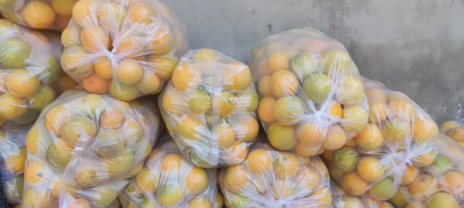 فروش پرتقال|خوردنی و آشامیدنی|گنبکی, |دیوار