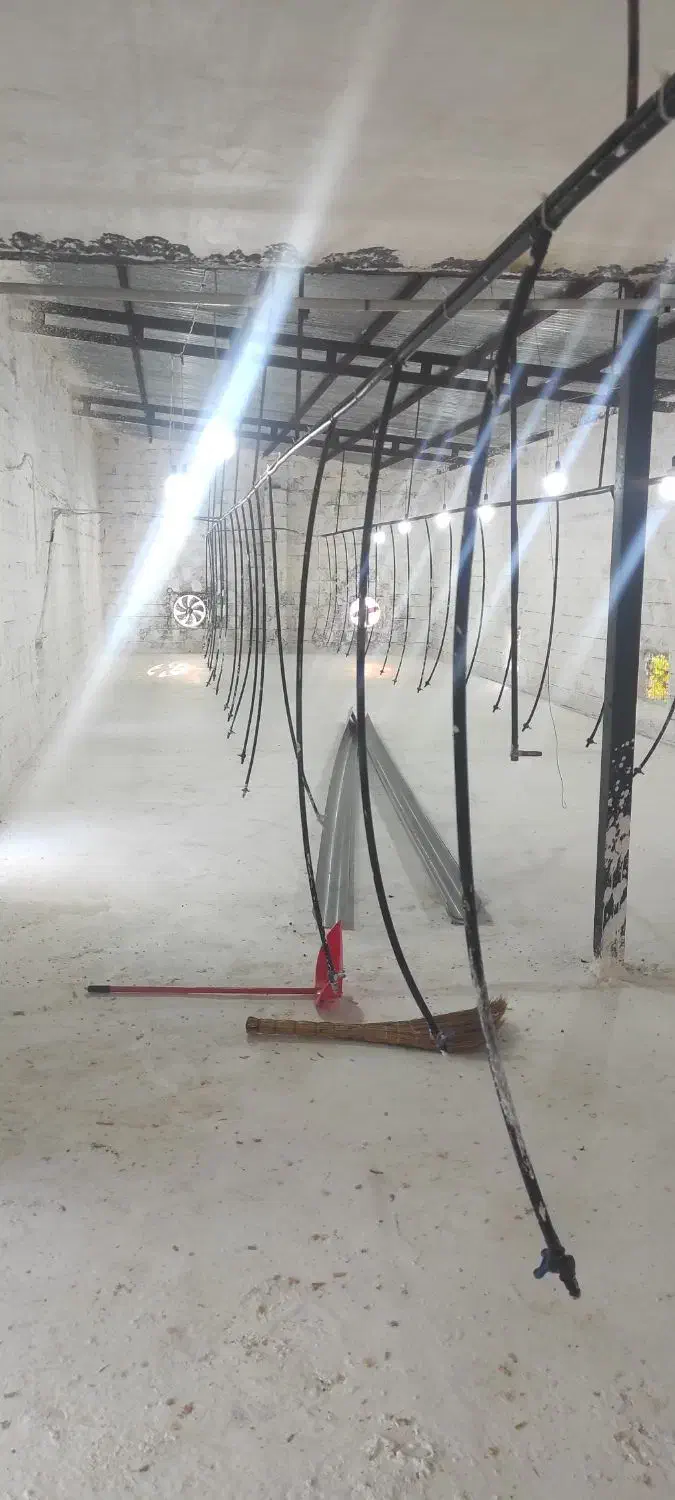 سوله و زمین دامداری و کشاورزی|فروش دفتر صنعتی، کشاورزی، تجاری|ساری, |دیوار