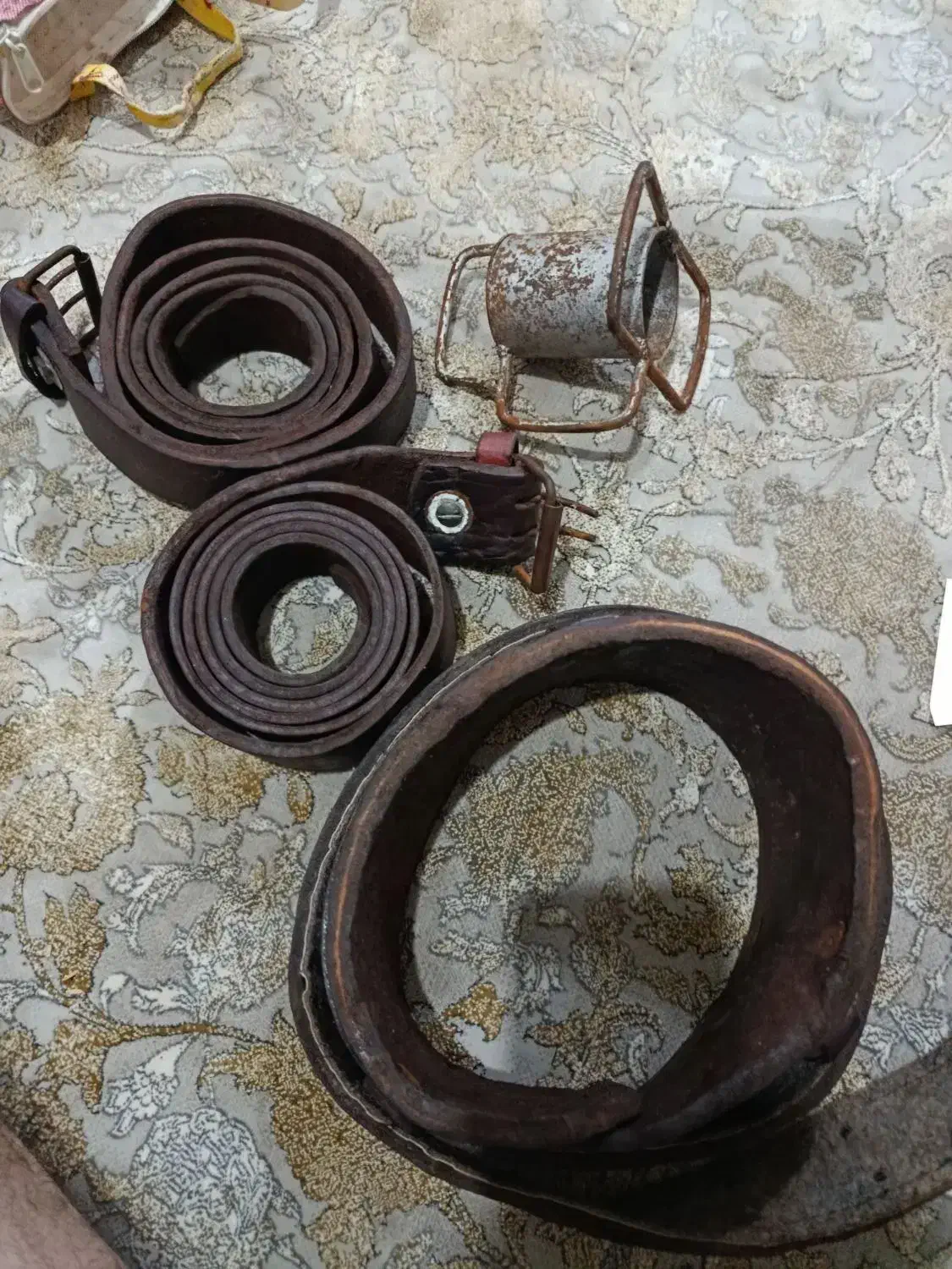 کمربند علم تمام چرم اصلی|کیف، کفش، کمربند|رشت, شهرک صبا|دیوار