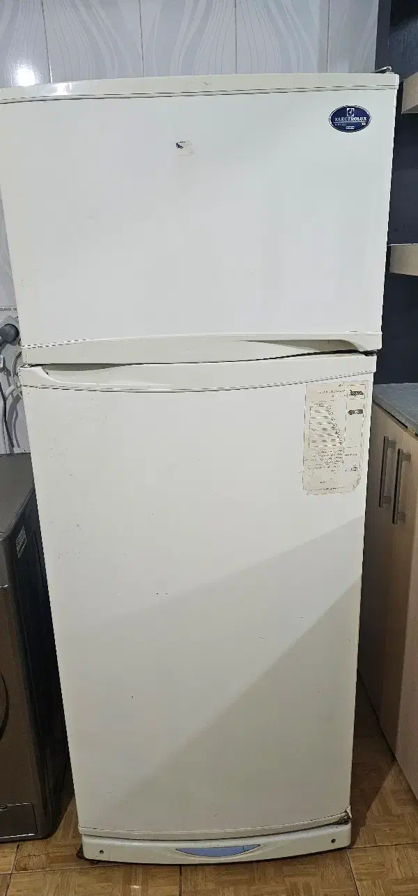 یخچال فریزر|یخچال و فریزر|تربت‌حیدریه, قائم|دیوار