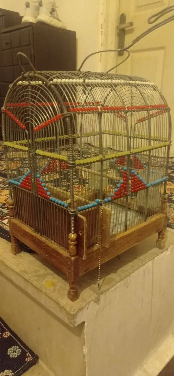 قفس شیک  تزیینی|لوازم جانبی حیوانات|بروجرد, |دیوار