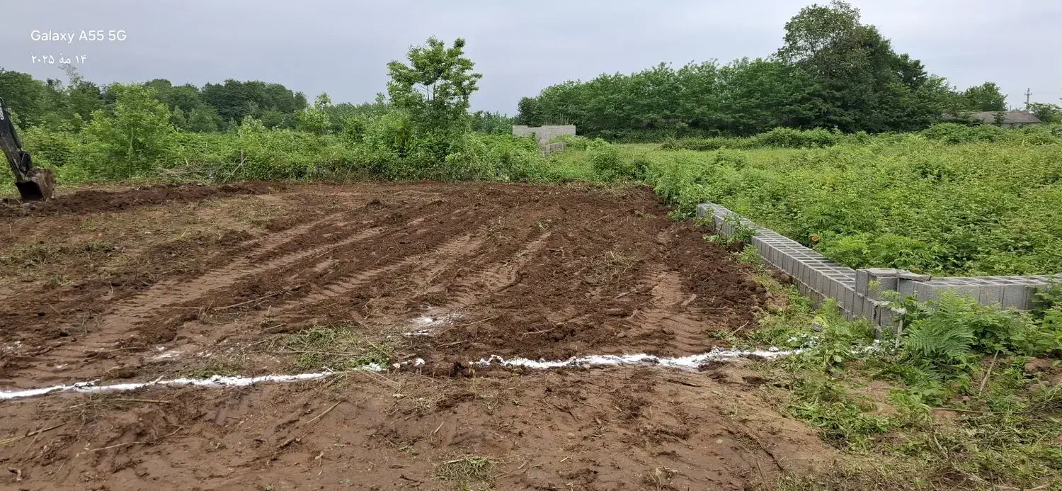 زمین فروشی|فروش زمین و ملک کلنگی|طاهرگوراب, |دیوار