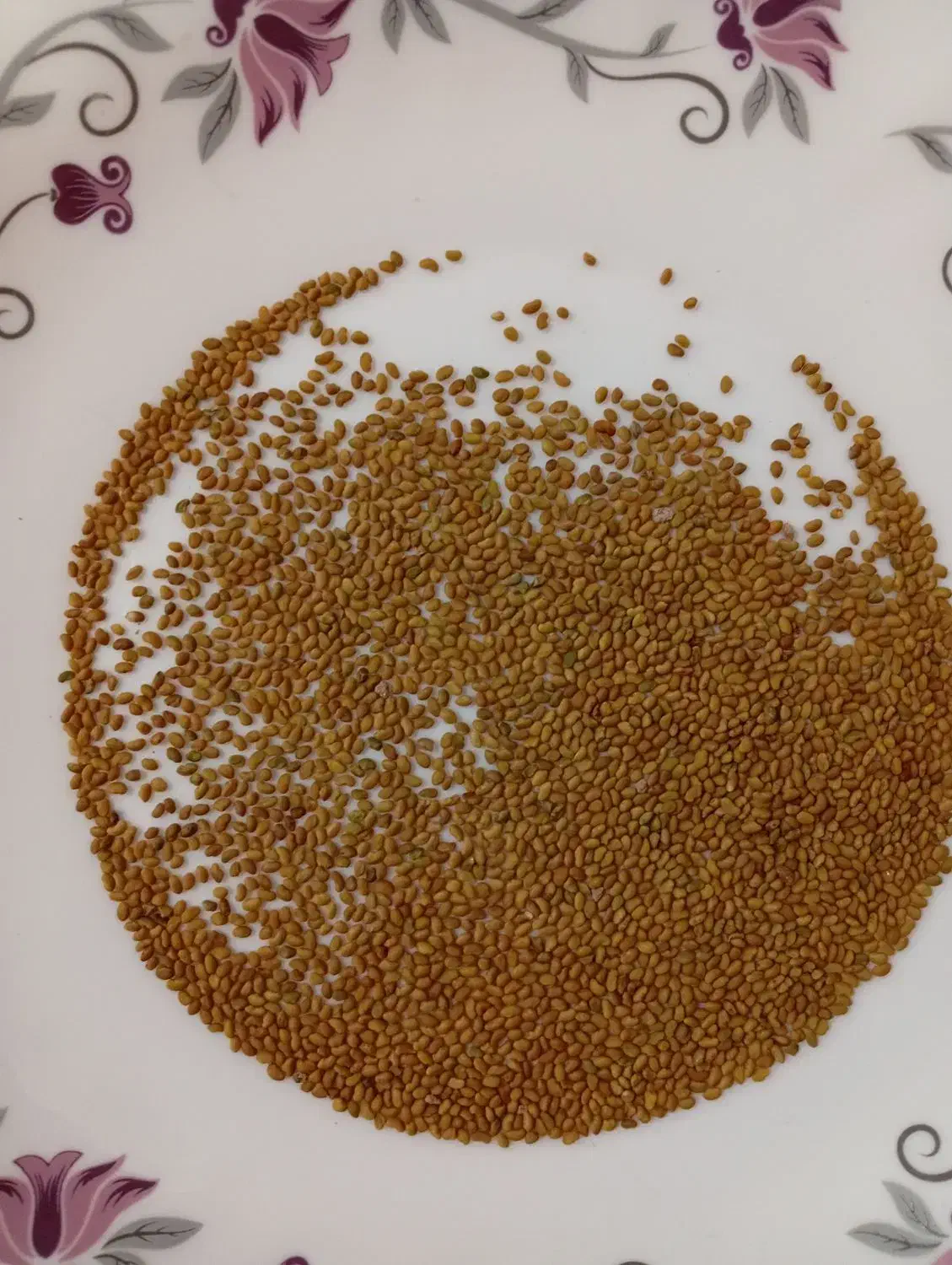 بذر|عمدهفروشی|شراء, |دیوار