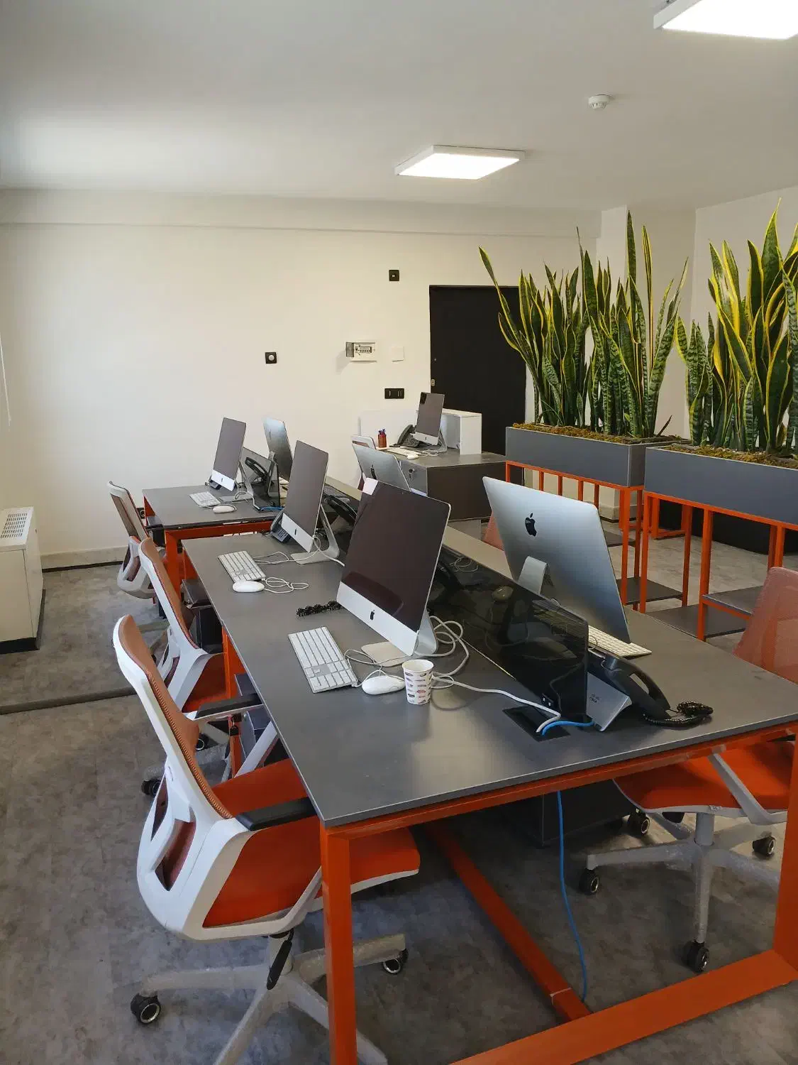 استخدام گرافیست|استخدام هنری و رسانه|تهران, مرزداران|دیوار