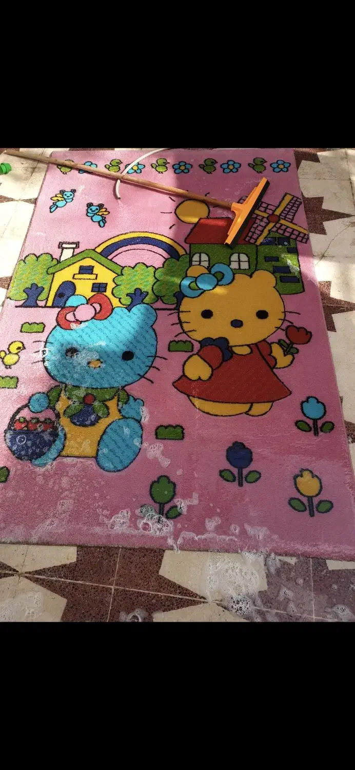 ست کتی|فرش|بندر گناوه, |دیوار