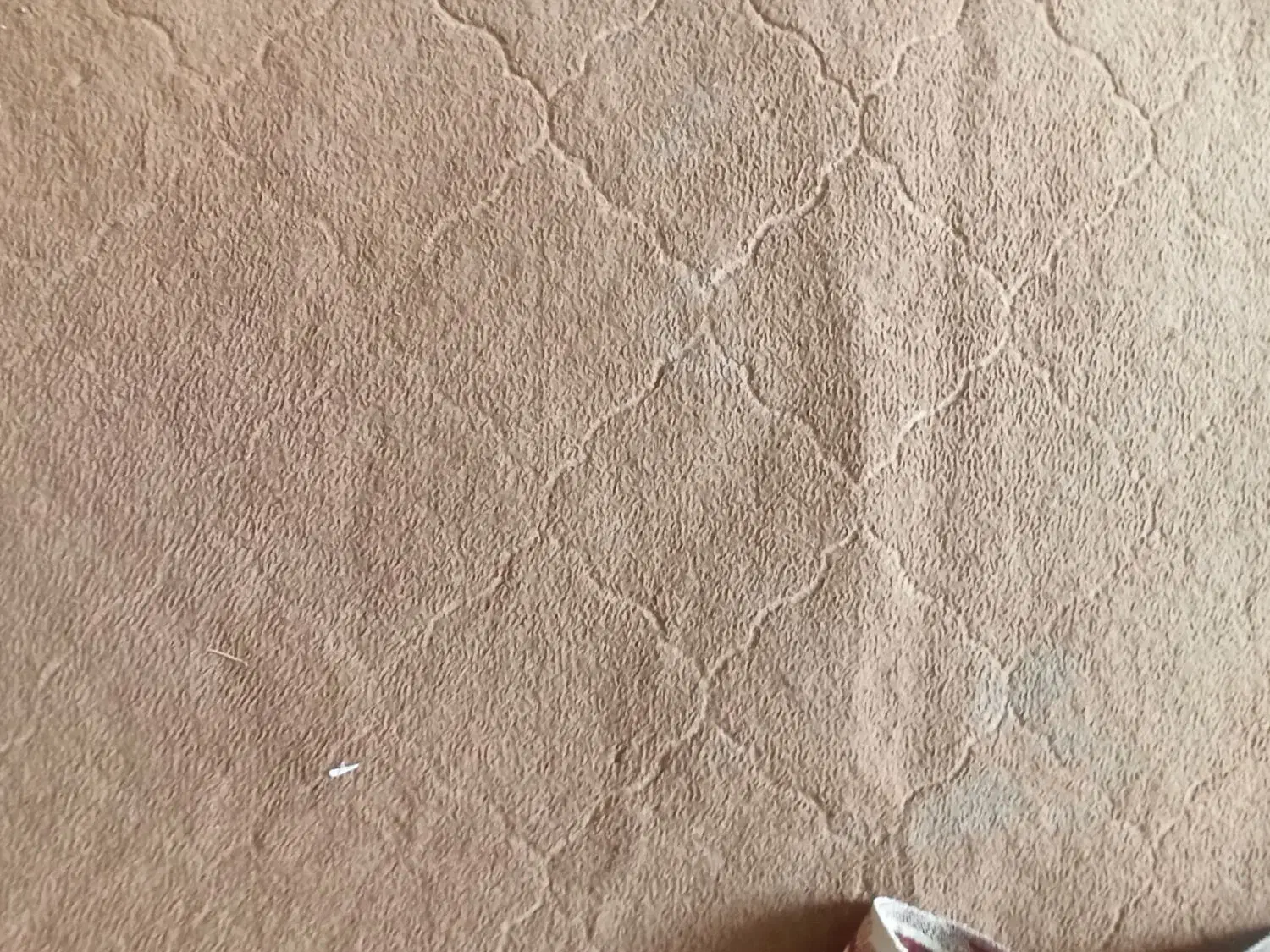 موکت|موکت|کلاله, |دیوار