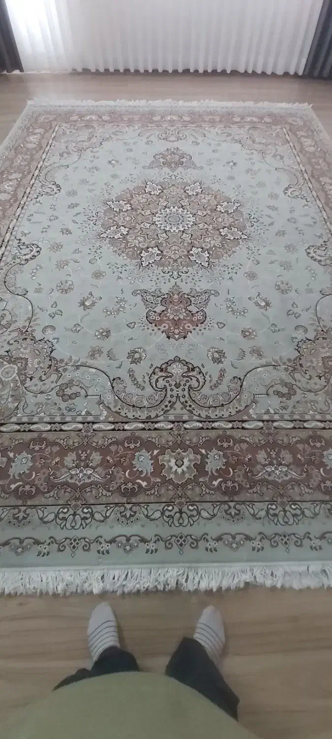 فرش|فرش|زنجان, |دیوار