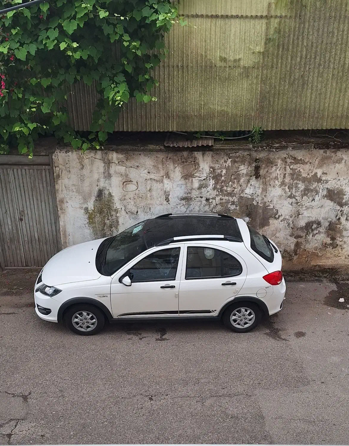 فروش فوری|خودرو سواری و وانت|رشت, شالکو|دیوار