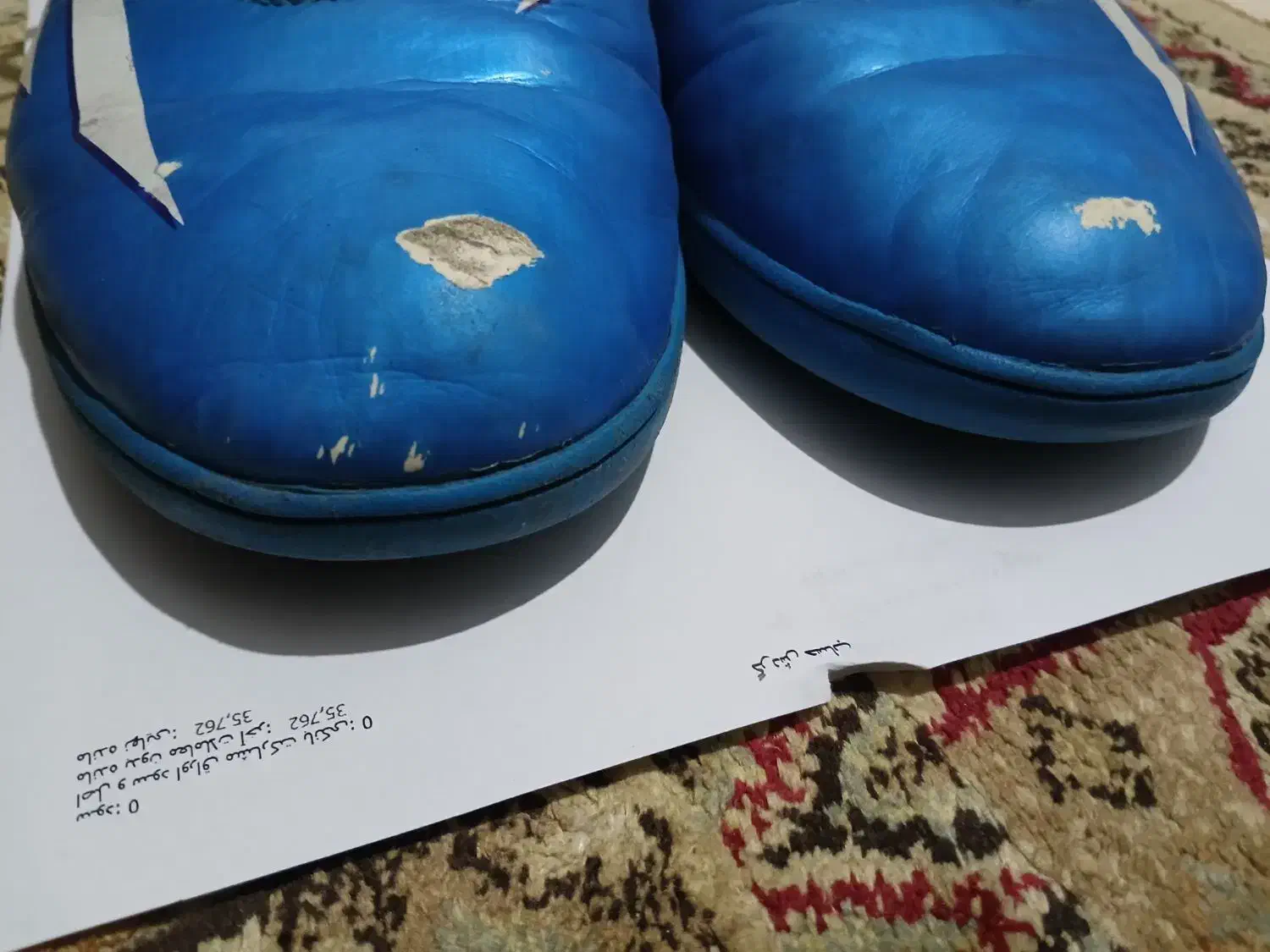 کفش سالنی اورجینال آدیداس f5+ یک کفش کاپا|کیف، کفش، کمربند|ری, جوانمرد قصاب|دیوار