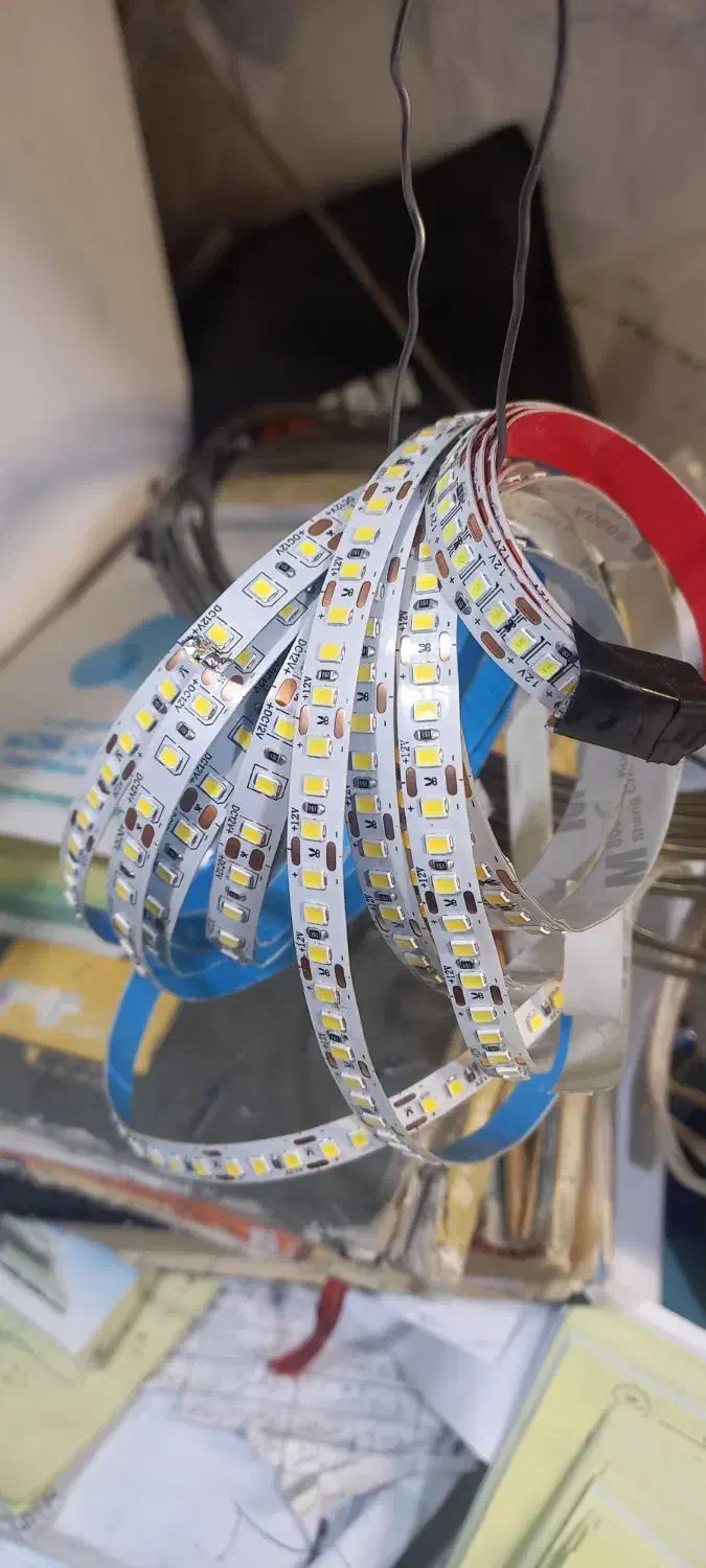 الیدی نواری اسلیم|لامپ و چراغ|قم, کلهری|دیوار