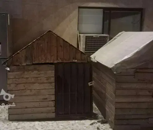 خونه سگ در ابعاد بزرگ|لوازم جانبی حیوانات|قائمشهر, |دیوار