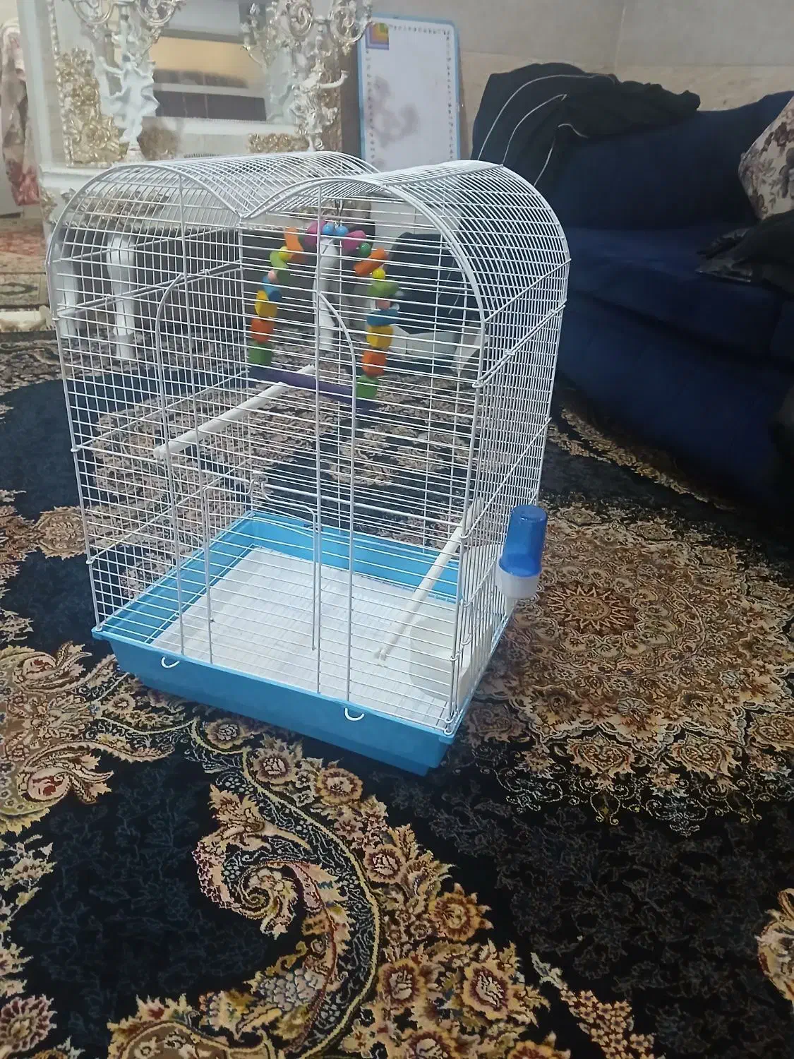 نونو|لوازم جانبی حیوانات|قم, شهرک فاطمیه|دیوار