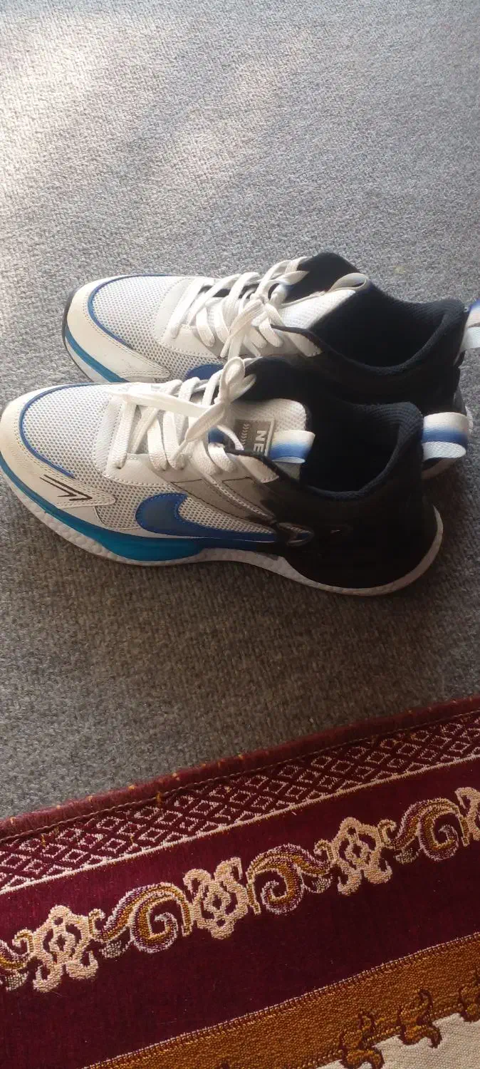 کفش کتونی|کیف، کفش، کمربند|بندر انزلی, بشمن|دیوار