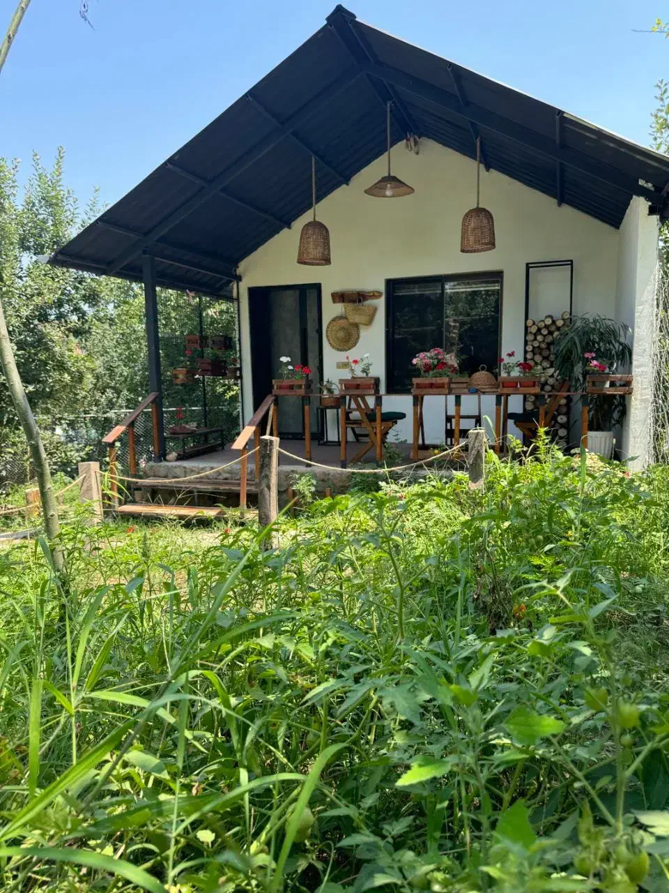 اجاره کلبه روستایی|اجارهٔ کوتاه‌مدت ویلا و باغ|قائم‌شهر, |دیوار