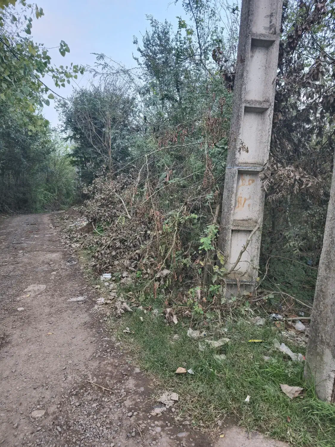 ۳ هزار متر مسکونی باغی (شهر باران حمید فلاح) 369|فروش زمین و ملک کلنگی|لشت نشا, |دیوار