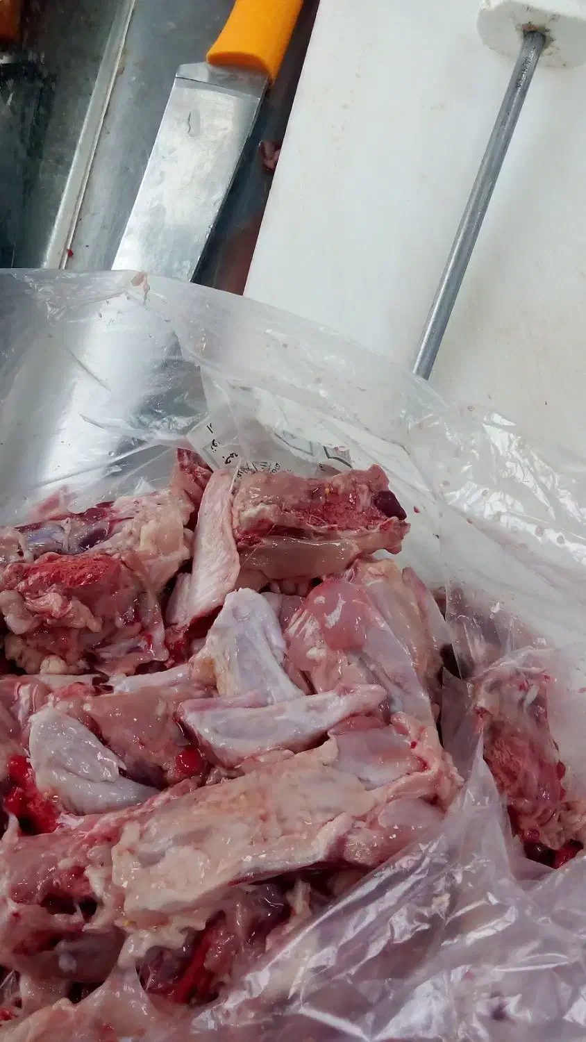 غذای سگ|لوازم جانبی حیوانات|تهران, جوانمردان (اندیشه)|دیوار