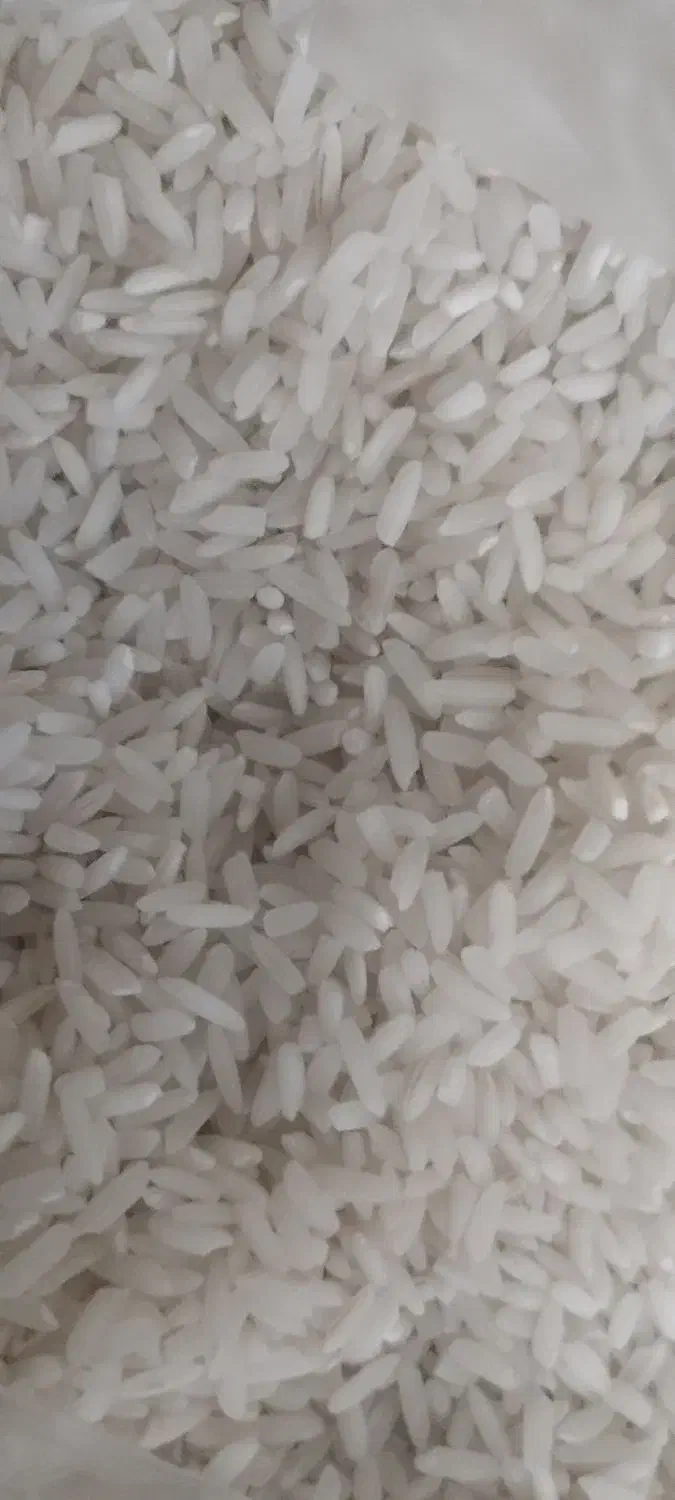 سر لاشه|خوردنی و آشامیدنی|تهران, شهرک ولیعصر جنوبی|دیوار