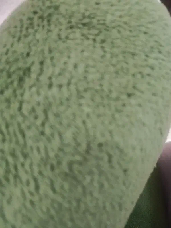 یک عدد چادر تیبا وپراید بفروش می رسد|قطعات یدکی و لوازم جانبی|شاهین‌شهر, برخوار غرب|دیوار