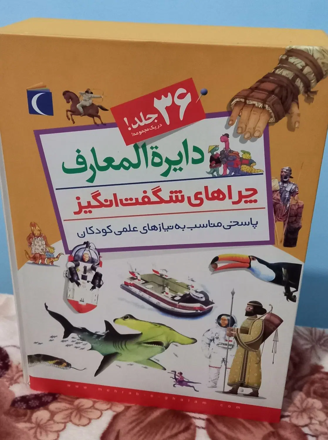 دایره المعارف چراهای شگفت انگیز و گنج دانش|کتاب و مجله ادبی|تهران, فلسطین (میدان انقلاب)|دیوار