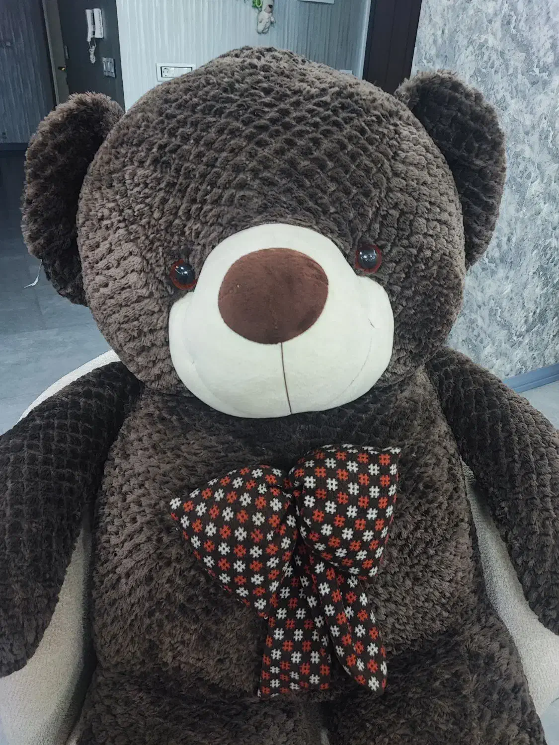 عروسک خرس بزرگ|اسباب‌بازی بچه|رودسر, |دیوار