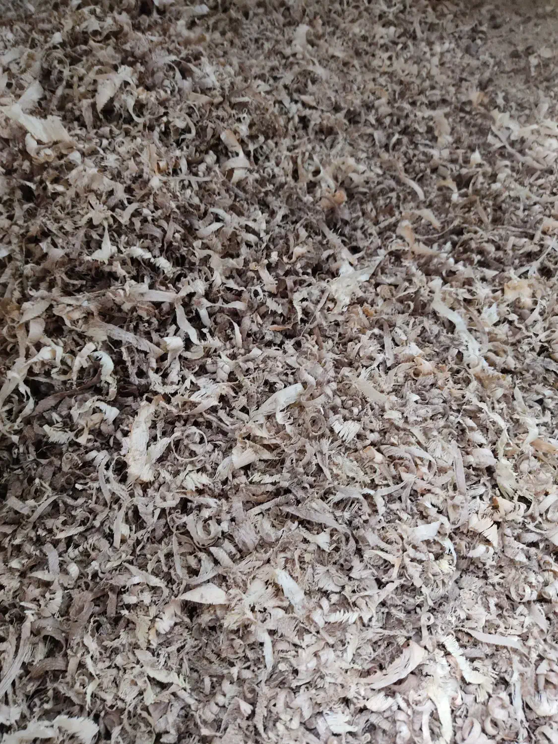 فروش پوشال چوب|خدمات باغبانی و درختکاری|گرگان, |دیوار