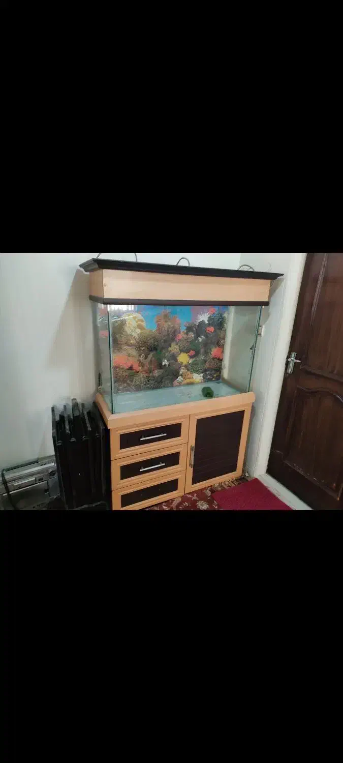 اکواریم با لوازم|ماهی|همدان, |دیوار