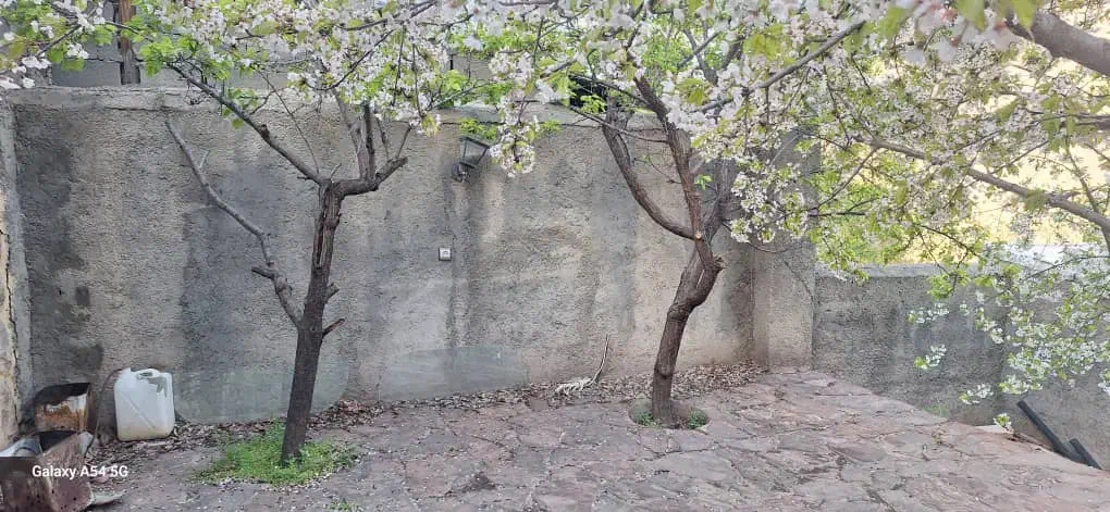 خانه باغ ابگرم لاریجان|فروش خانه و ویلا|رینه, |دیوار