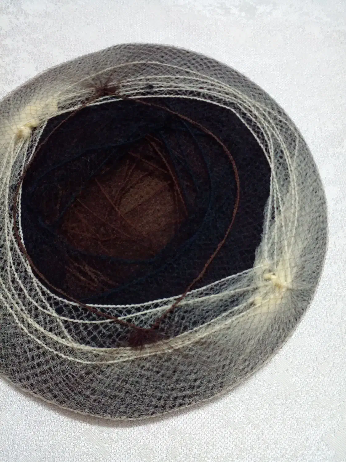 تور شنیون|آرایشی، بهداشتی، درمانی|خسروشاه, |دیوار