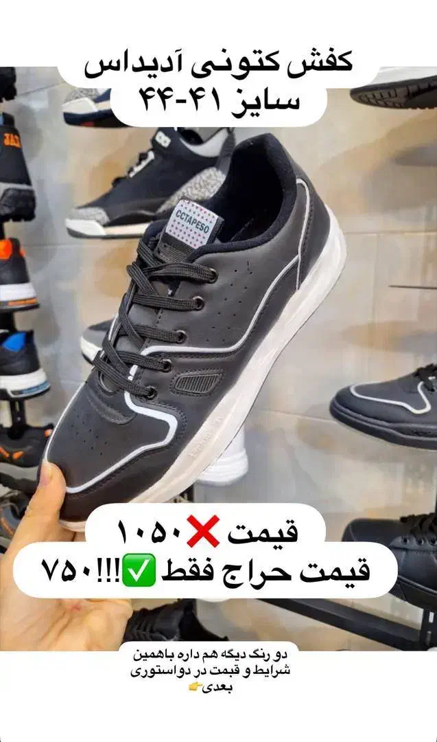 کتونی اسپرت|کیف، کفش، کمربند|اشتهارد, |دیوار