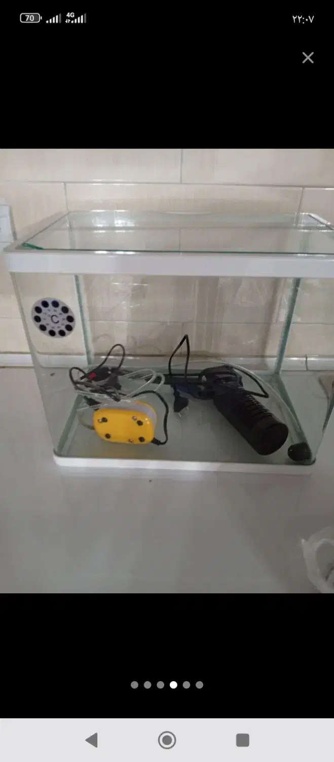 اکواریوم|ماهی|ایلام, |دیوار