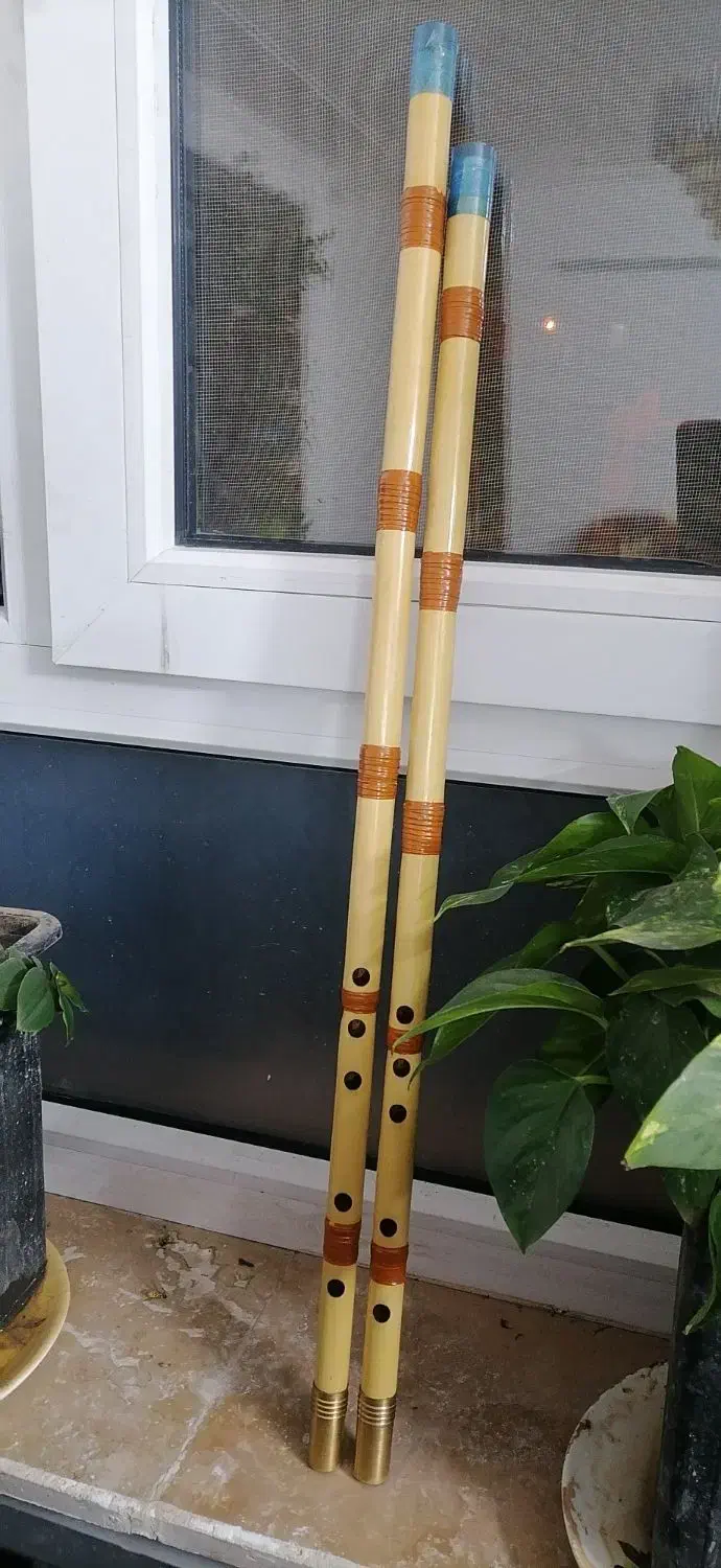 سازنی اصفهان|سازهای بادی|یزد, |دیوار