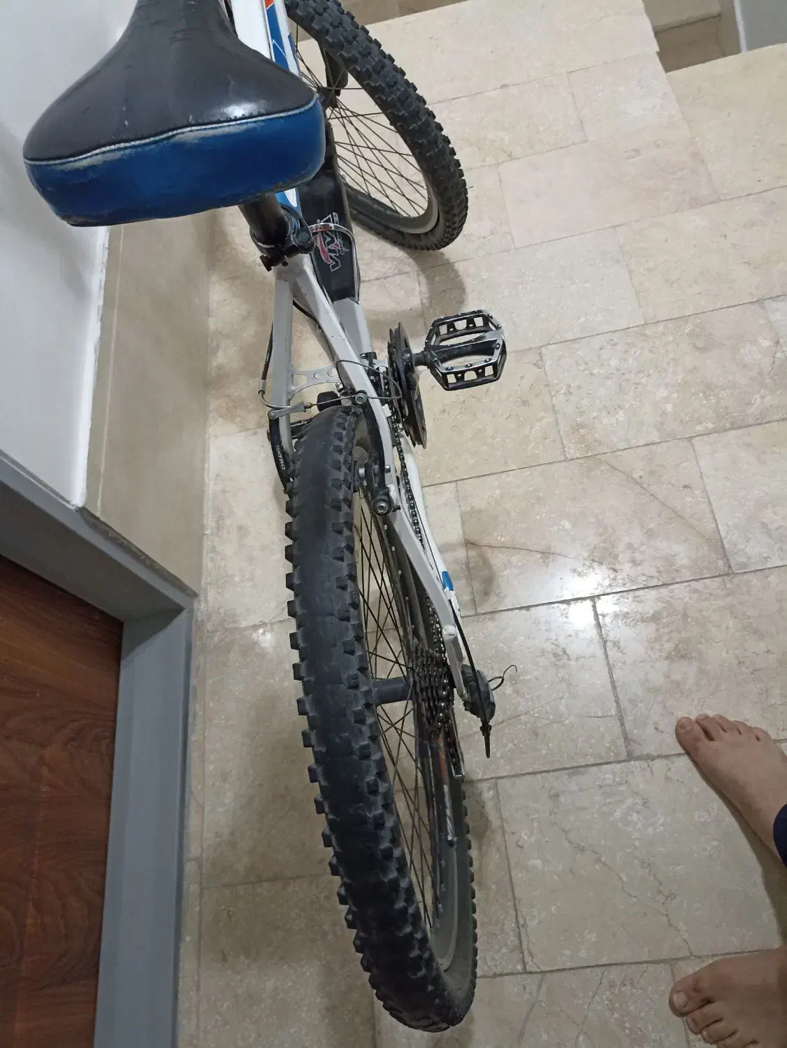 دوچرخه ویوا اصل|دوچرخه، اسکیت، اسکوتر|قرچک, مهدیه|دیوار