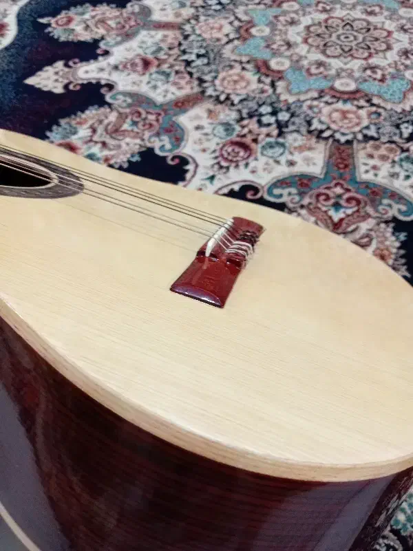 گیتار نورانیا مدل c3|گیتار، بیس، امپلیفایر|شهرضا, |دیوار