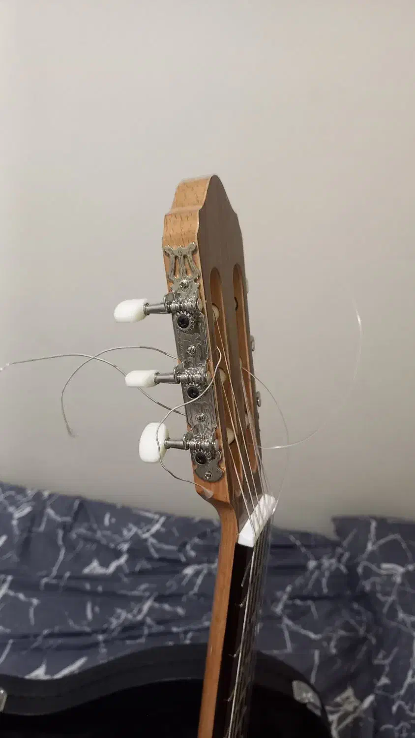 گیتار فوری|گیتار، بیس، امپلیفایر|تهران, شهرک شریعتی|دیوار