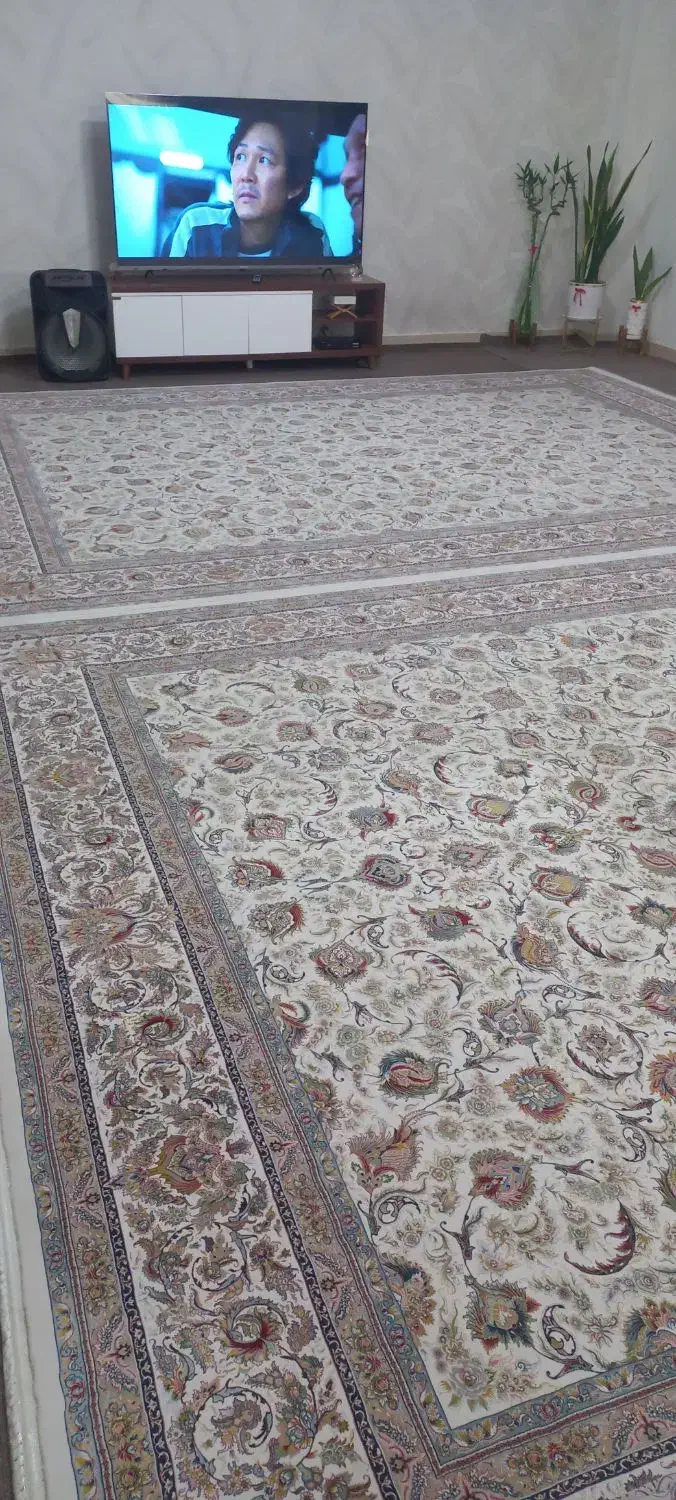فرش ماشینی دوازده متری|فرش|تهران, مسعودیه|دیوار