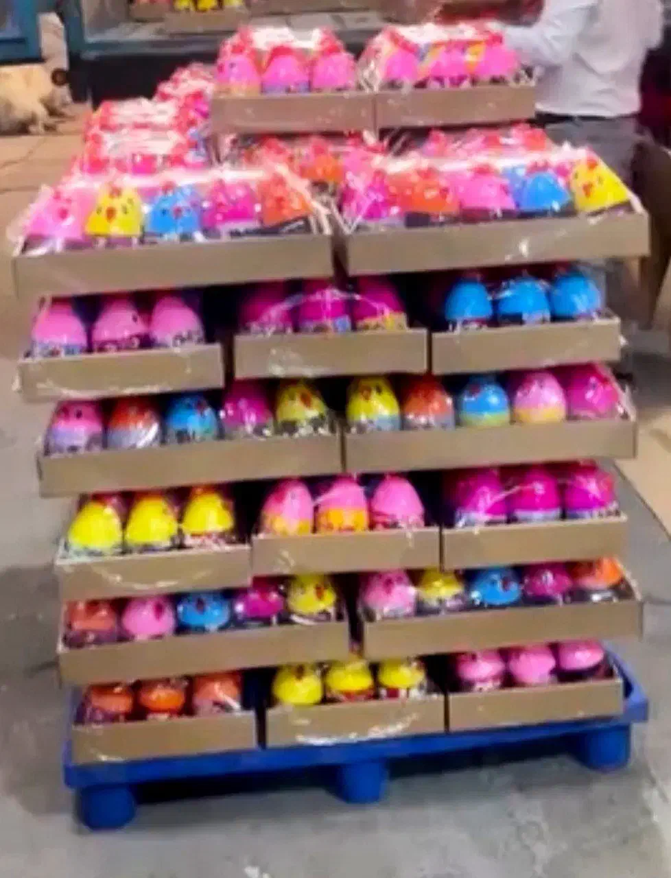 واحد تولید جوجه خروس و...|اسباب‌‌بازی|کرمانشاه, |دیوار